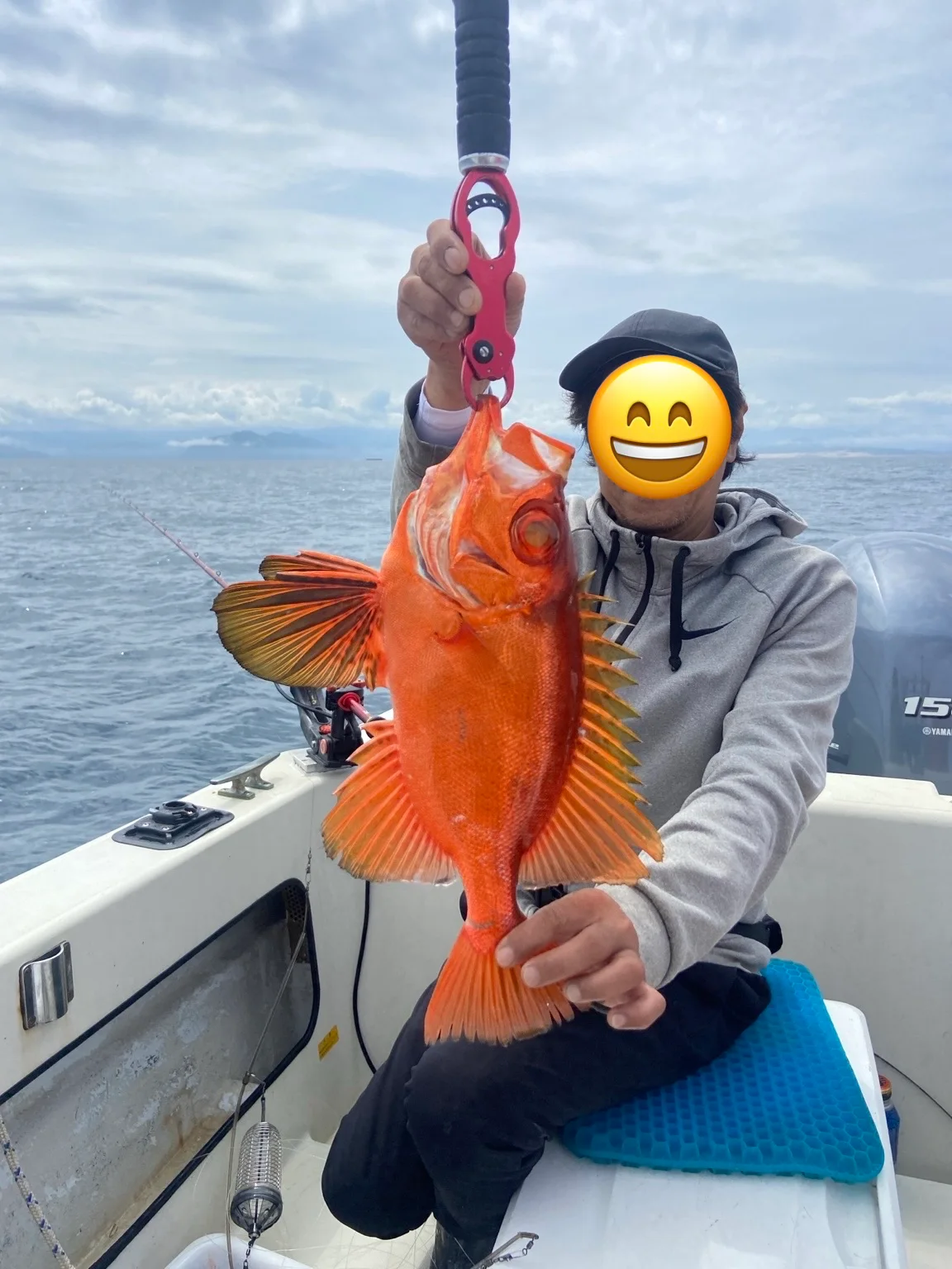青物釣果