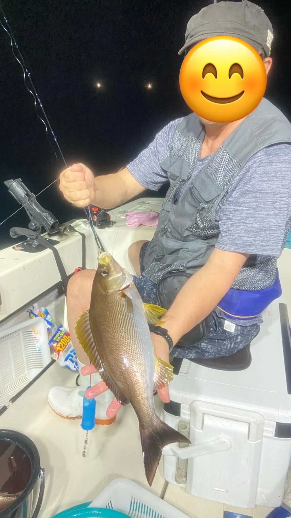 アジ釣果