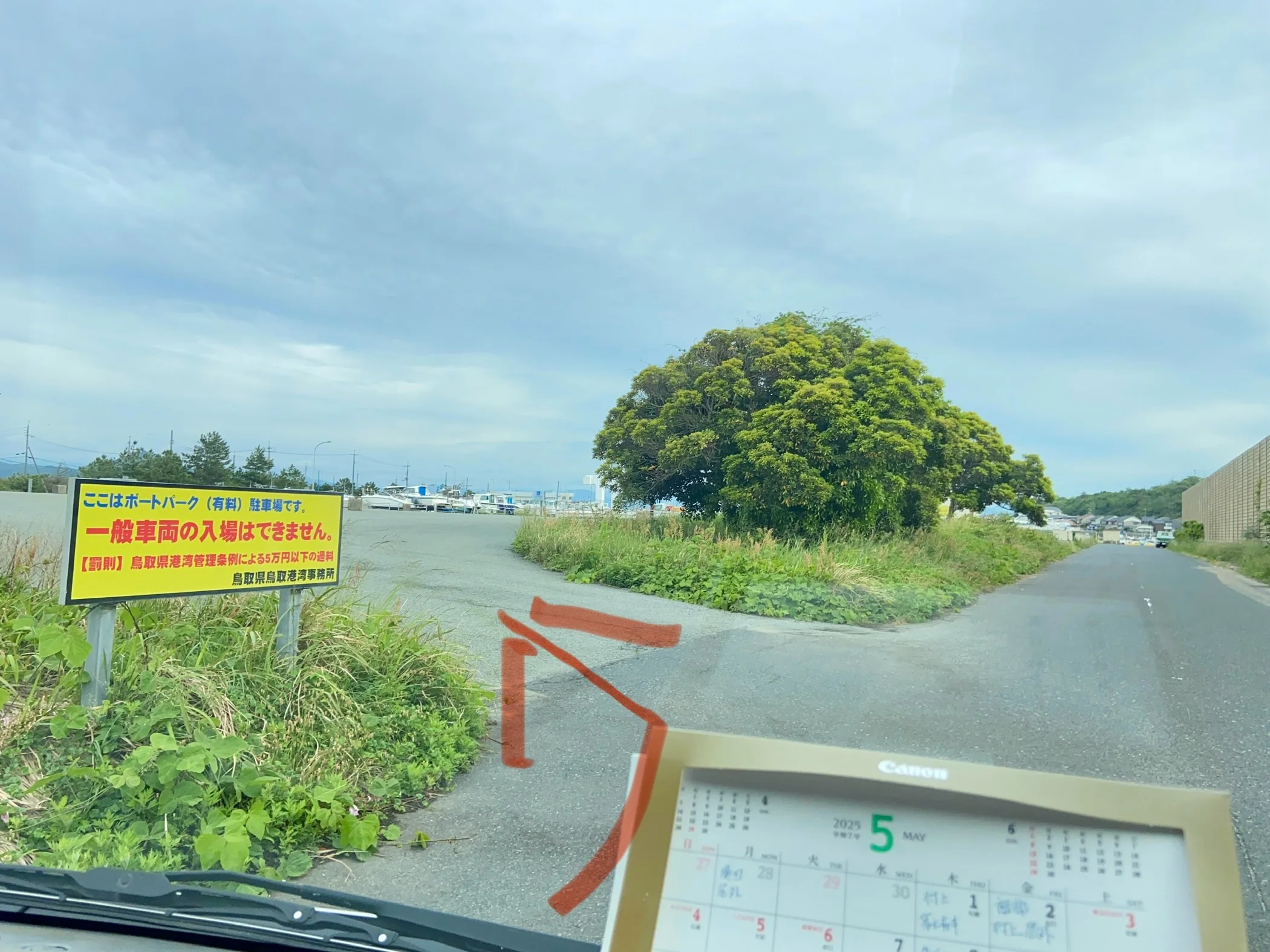 シロイカ釣果